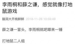 小忆吃瓜日记免费阅读全文,揭秘娱乐圈幕后故事